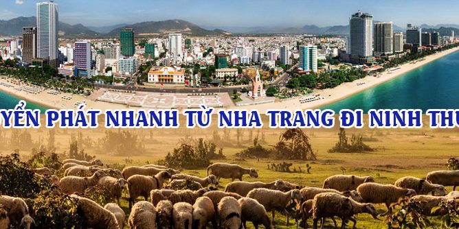 chuyen-phat-nhanh-nha-trang-ninh-thuan