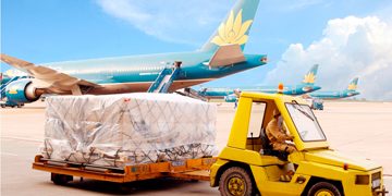 Dịch vụ thông quan khai hải quan tại Sân Bay Nội Bài Hà Nội Dịch vụ thông quan khai hải quan tại Sân Bay Nội Bài Hà Nội