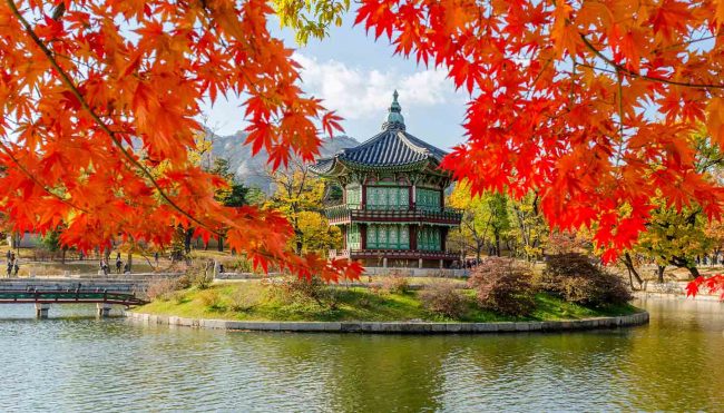 Express delivery services from Hanoi to Korea Express delivery services from Hanoi to Korea