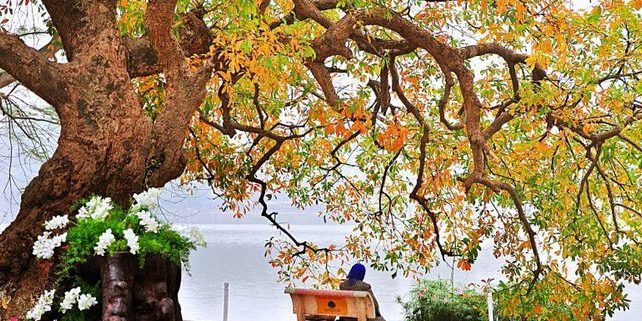 chuyen-phat-sai-gon-ha-noi