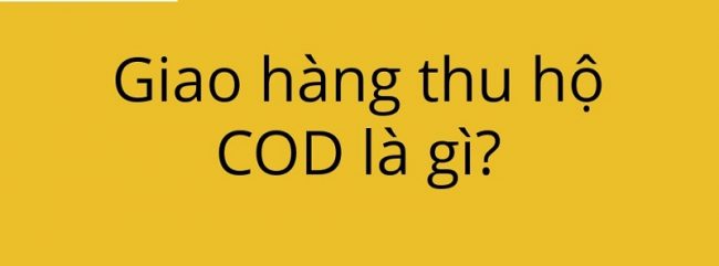 ship-cod-tai-ha-noi-gia-re