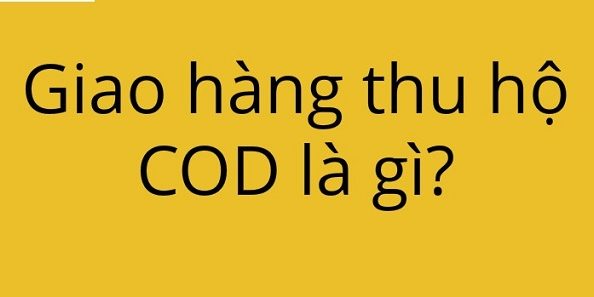 ship-cod-tai-ha-noi-gia-re