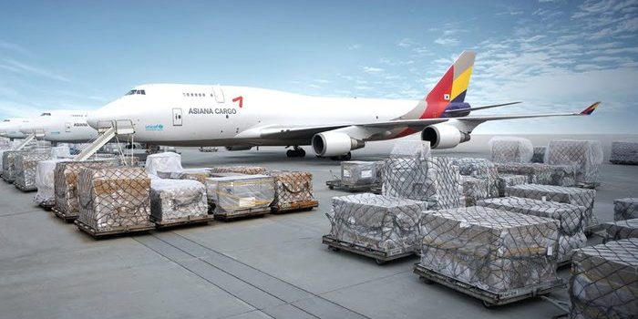 International Air Transportation From Tan Son Nhat Airport, Noi Bai Airport and Da Nang Airport