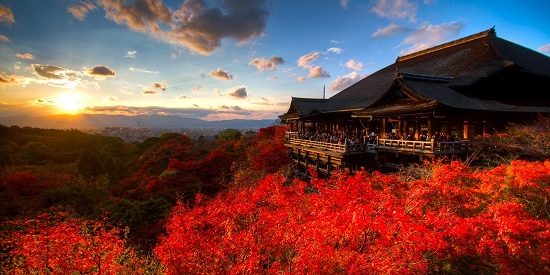 Vận chuyển hàng hóa từ Việt Nam sang Kyoto, Nhật Bản Vận chuyển hàng hóa từ Việt Nam sang Kyoto, Nhật Bản