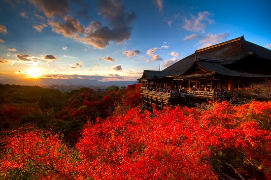 Vận chuyển hàng hóa từ Việt Nam sang Kyoto, Nhật Bản