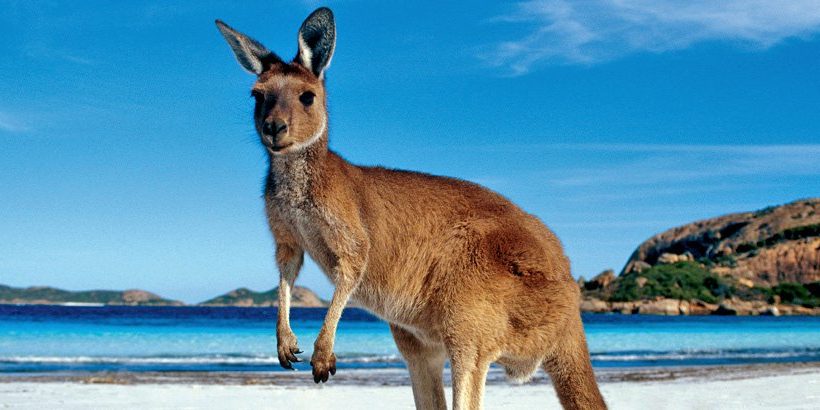 Gửi mỹ phẩm từ Việt Nam sang Úc