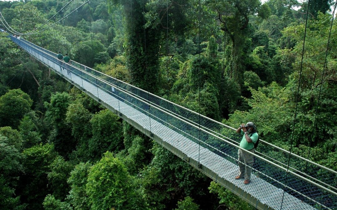 Bảng giá, phí vận chuyển hàng 2 chiều Việt Nam – Bukit Timah, Singapore