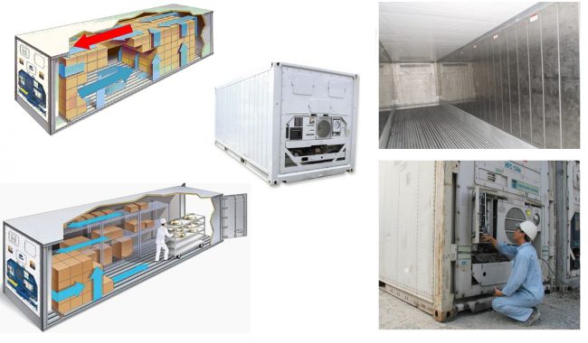 container-mat-lanh