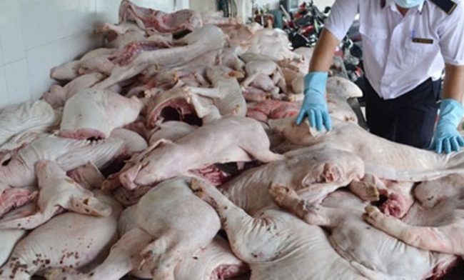 dich-vu-kiem-dich-thu-y