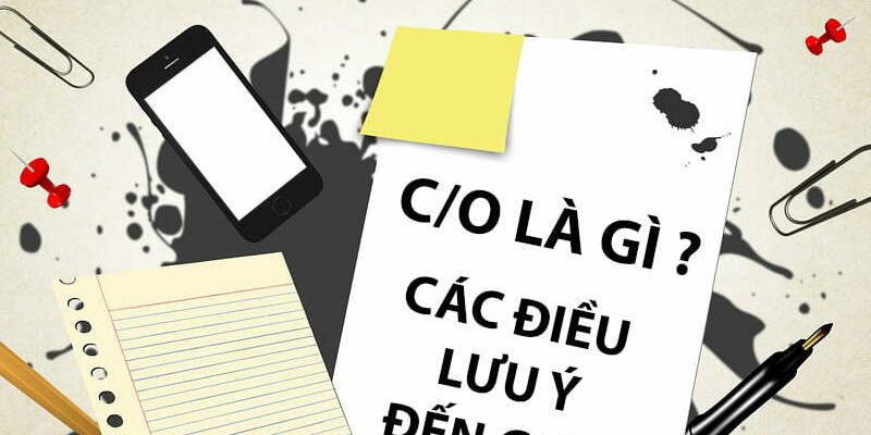 c:o-form-vk ke khai c/o form vk