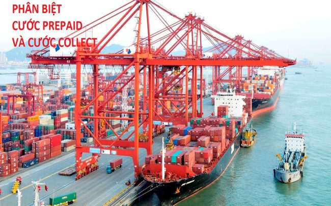 phan-biet-cuoc-prepaid-va-cuoc-collect cước prepaid và cước collect