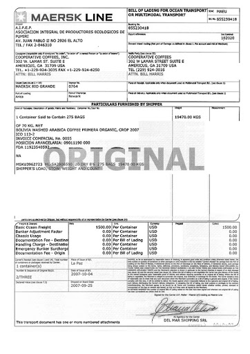 the-differences-between-shipped-on-board-and-bill-of-lading-dates