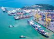 Xuất nhập khẩu đường biển
