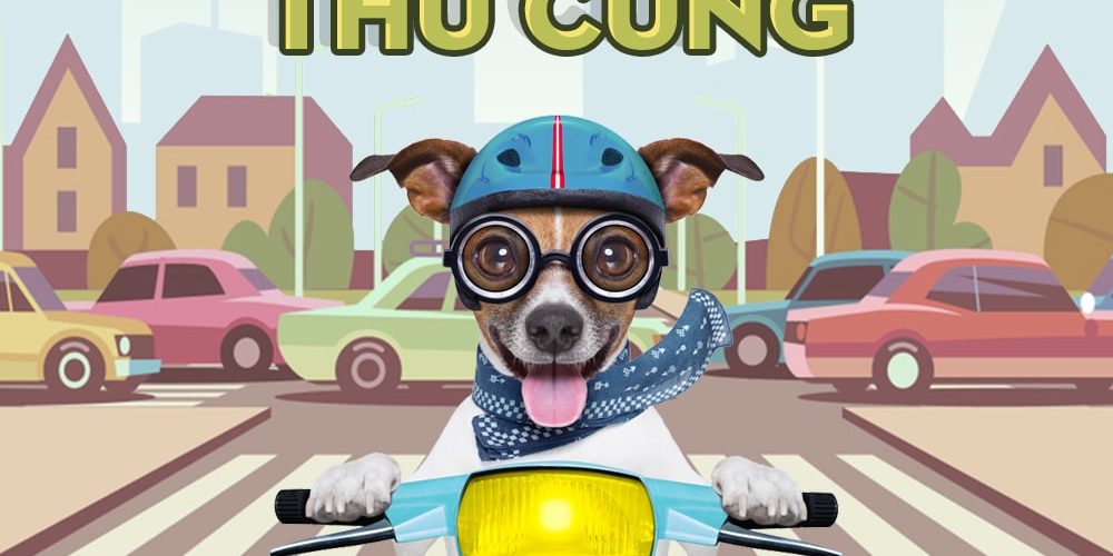 dich-vu-van-chuyen-thu-cung