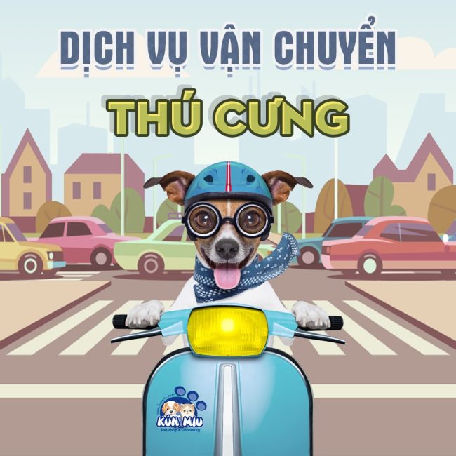 dich-vu-van-chuyen-thu-cung