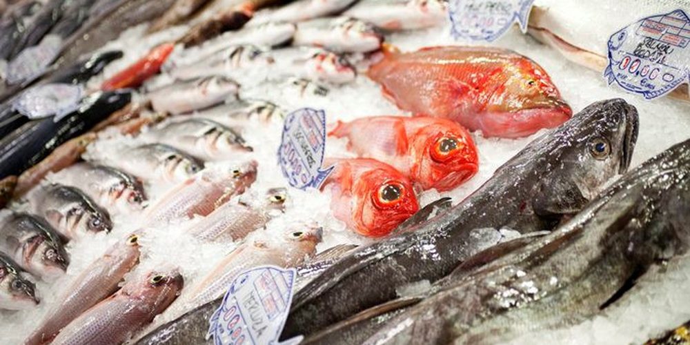 Vận chuyển hàng đông lạnh, thủy hải sản từ Đà Nẵng đi các tỉnh Vận chuyển hàng đông lạnh, thủy hải sản từ Đà Nẵng đi các tỉnh