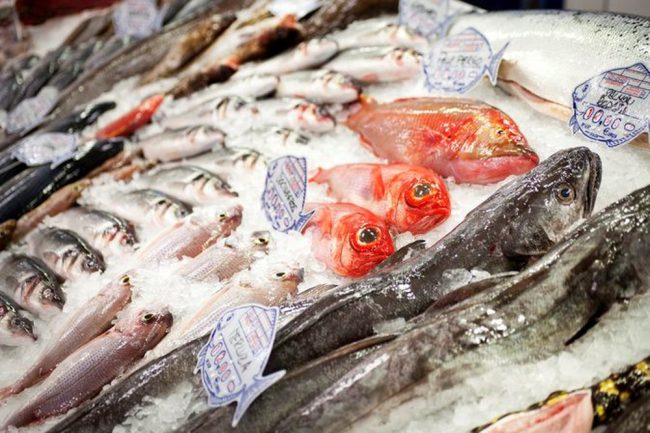 Vận chuyển hàng đông lạnh, thủy hải sản từ Đà Nẵng đi các tỉnh Vận chuyển hàng đông lạnh, thủy hải sản từ Đà Nẵng đi các tỉnh