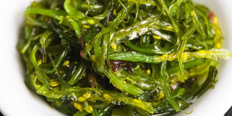 Chuyển phát nhanh rong biển Mỹ Khê Đà Nẵng đi Hải Phòng nhanh chóng, uy tín Chuyển phát nhanh rong biển Mỹ Khê Đà Nẵng đi Hải Phòng nhanh chóng, uy tín