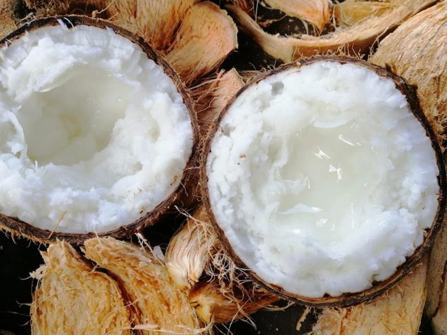 Dừa sáp khá đặc biệt ở chỗ, nếu những trái dừa khác trải qua nhiều giai đoạn như khi dừa non thì cơm mềm, dẻo, nước ngọt, khi dừa già thì cơm cứng lại nước nhạt dần và thậm chí lên men. Dừa sáp khá đặc biệt ở chỗ, nếu những trái dừa khác trải qua nhiều giai đoạn như khi dừa non thì cơm mềm, dẻo, nước ngọt, khi dừa già thì cơm cứng lại nước nhạt dần và thậm chí lên men.