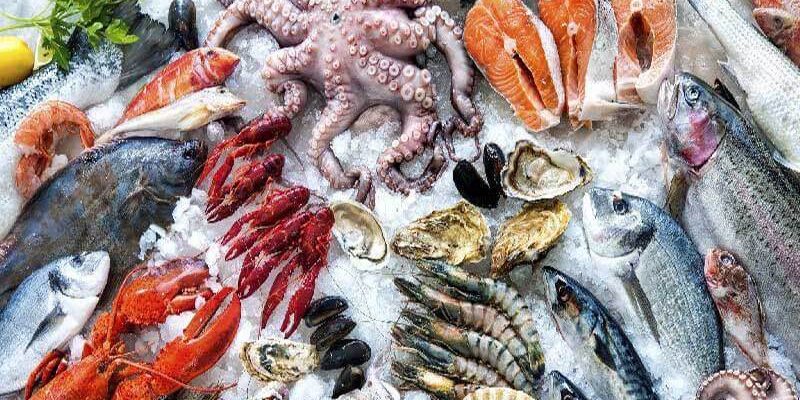 Vận chuyển hải sản đông lạnh từ Hà Nội về Bình Dương an toàn Vận chuyển hải sản đông lạnh từ Hà Nội về Bình Dương an toàn