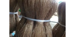 Vận chuyển miếng dong Cao Bằng ra Hà Nội nhanh chóng, giá rẻ Vận chuyển miếng dong Cao Bằng ra Hà Nội nhanh chóng, giá rẻ