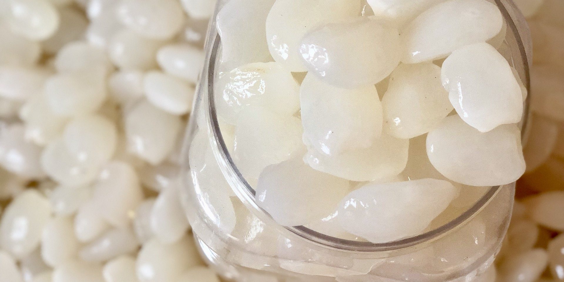 Vận chuyển hạt Đác từ Nha Trang đi Đà Nẵng nhanh chóng giá rẻ