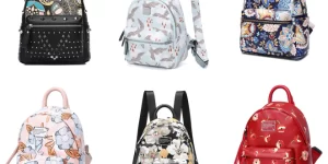 Vận chuyển balo, túi xách từ Đà Nẵng đi Pháp nhanh chóng, uy tín