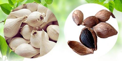 Công dụng tuyệt vời của tỏi cô đơn Lý Sơn Công dụng tuyệt vời của tỏi cô đơn Lý Sơn