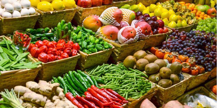 Vận chuyển nông sản từ Hồ Chí Minh sang Đức uy tín, chuyên nghiệp nhất. Vận chuyển nông sản từ Hồ Chí Minh sang Đức uy tín, chuyên nghiệp nhất.