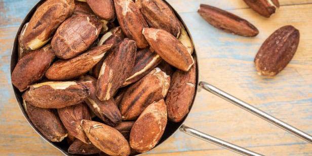 Gửi mứt hạt bàng Côn Đảo đi Hà Nội siêu nhanh, siêu tiết kiệm