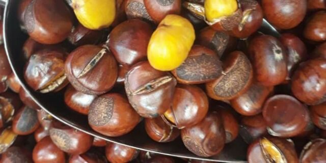 Gửi hạt dẻ Cao Bằng đi Thái Lan nhanh chóng, cước rẻ Gửi hạt dẻ Cao Bằng đi Thái Lan nhanh chóng, cước rẻ