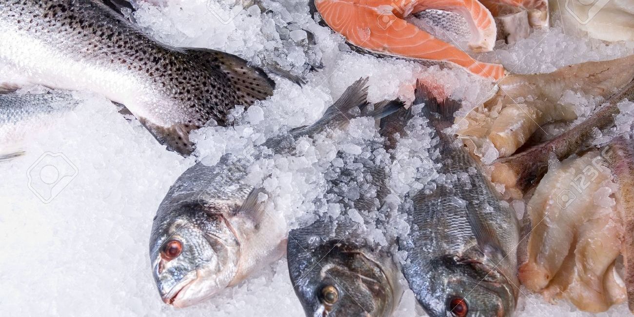 5878507-The-Dorado-fish-at-fish-sets-on-a-ice-background-Stock-Photo-frozen-food-fish