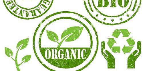 cách đạt chứng nhận hữu cơ Organic