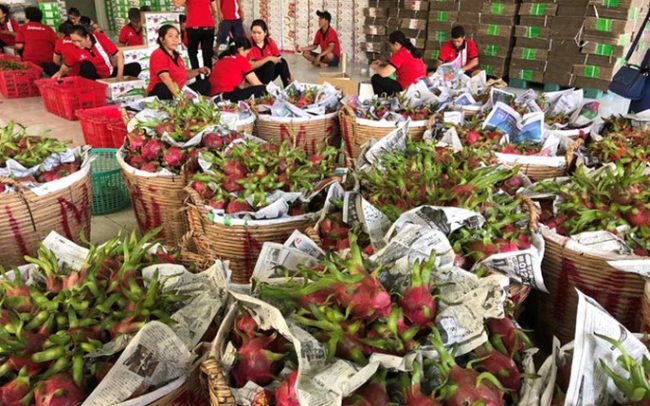 tiêu chuẩn xuất khẩu sang Singapore tiêu chuẩn xuất khẩu sang Singapore