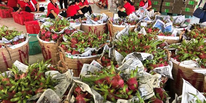 tiêu chuẩn xuất khẩu sang Singapore tiêu chuẩn xuất khẩu sang Singapore