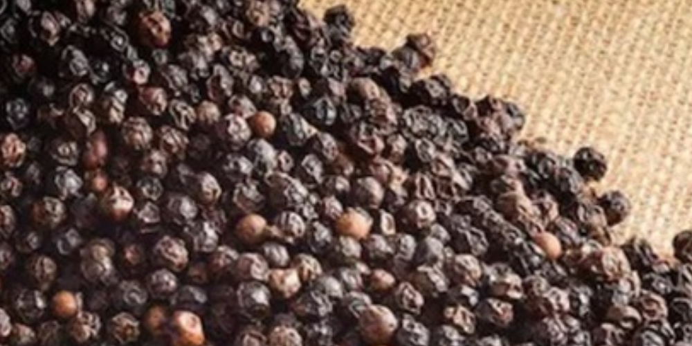 tiêu1 Vận chuyển mẫu tiêu từ Hà Nội đi Ấn Độ giá rẻ, tiết kiệm