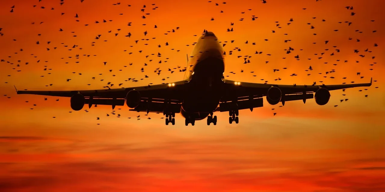 Sắp diễn ra Diễn đàn “Ngày hàng hóa hàng không Việt Nam 2024” Sắp diễn ra Diễn đàn "Ngày hàng hóa hàng không Việt Nam 2024”