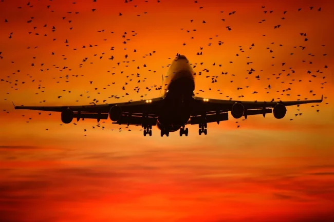 Sắp diễn ra Diễn đàn “Ngày hàng hóa hàng không Việt Nam 2024” Sắp diễn ra Diễn đàn "Ngày hàng hóa hàng không Việt Nam 2024”