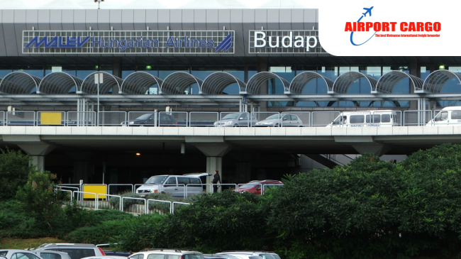 Bìa của Hoa (70)