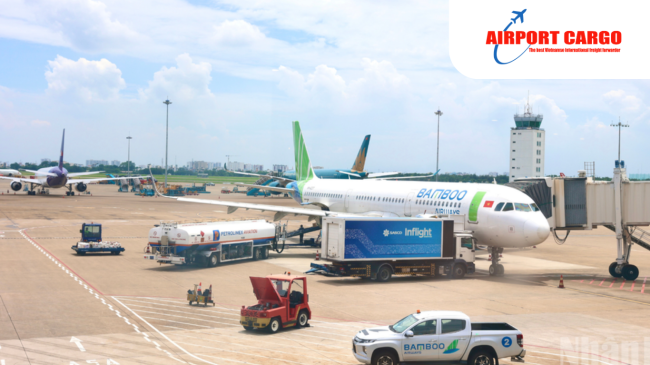 Bìa của Hoa – 2025-10-29T055212.976