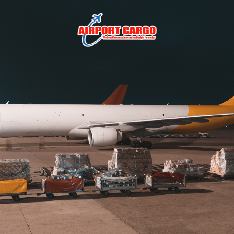 Ramp Handling là gì? Một lô hàng trải qua những gì từ Cargo Terminal đến khoang máy bay?