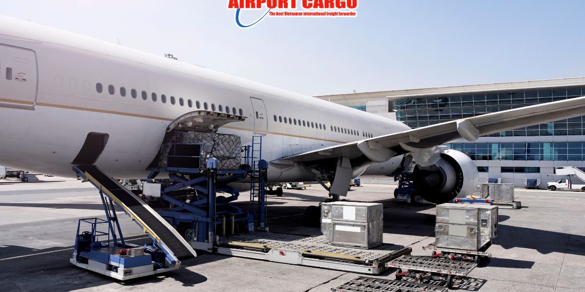 Freighter và Belly Cargo khác nhau ở đâu trong khai thác?