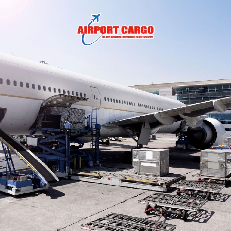 Freighter và Belly Cargo khác nhau ở đâu trong khai thác?