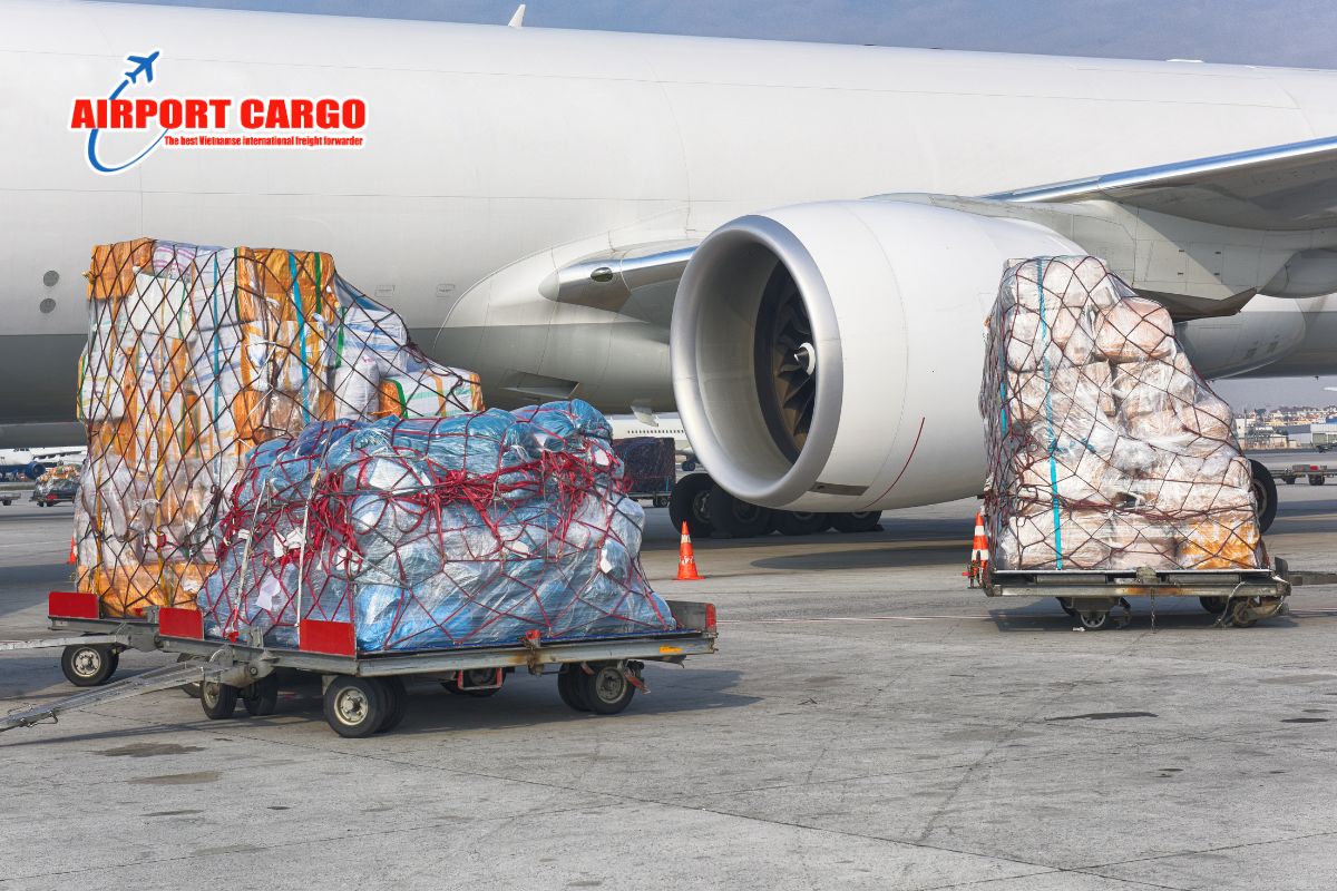 Cargo Capacity là gì và tại sao có thể thay đổi theo từng chuyến?