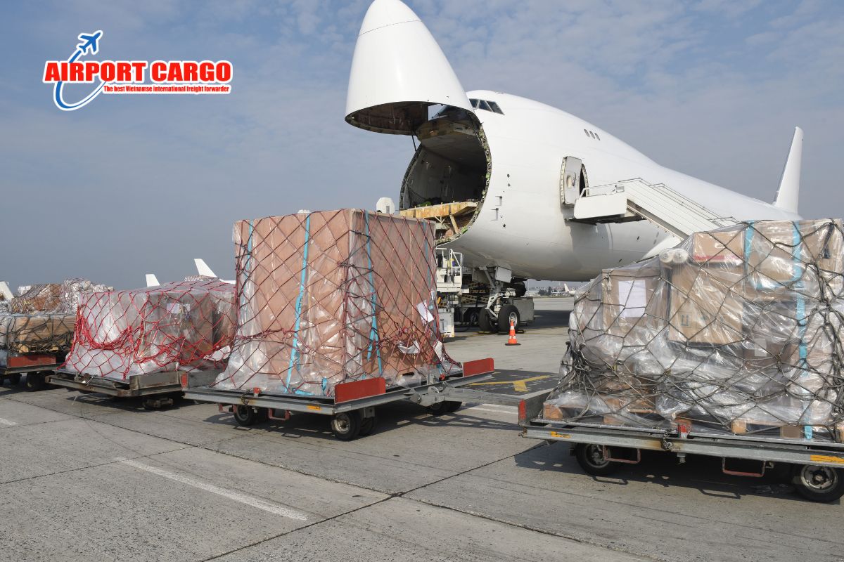Cargo Capacity là gì và tại sao có thể thay đổi theo từng chuyến?