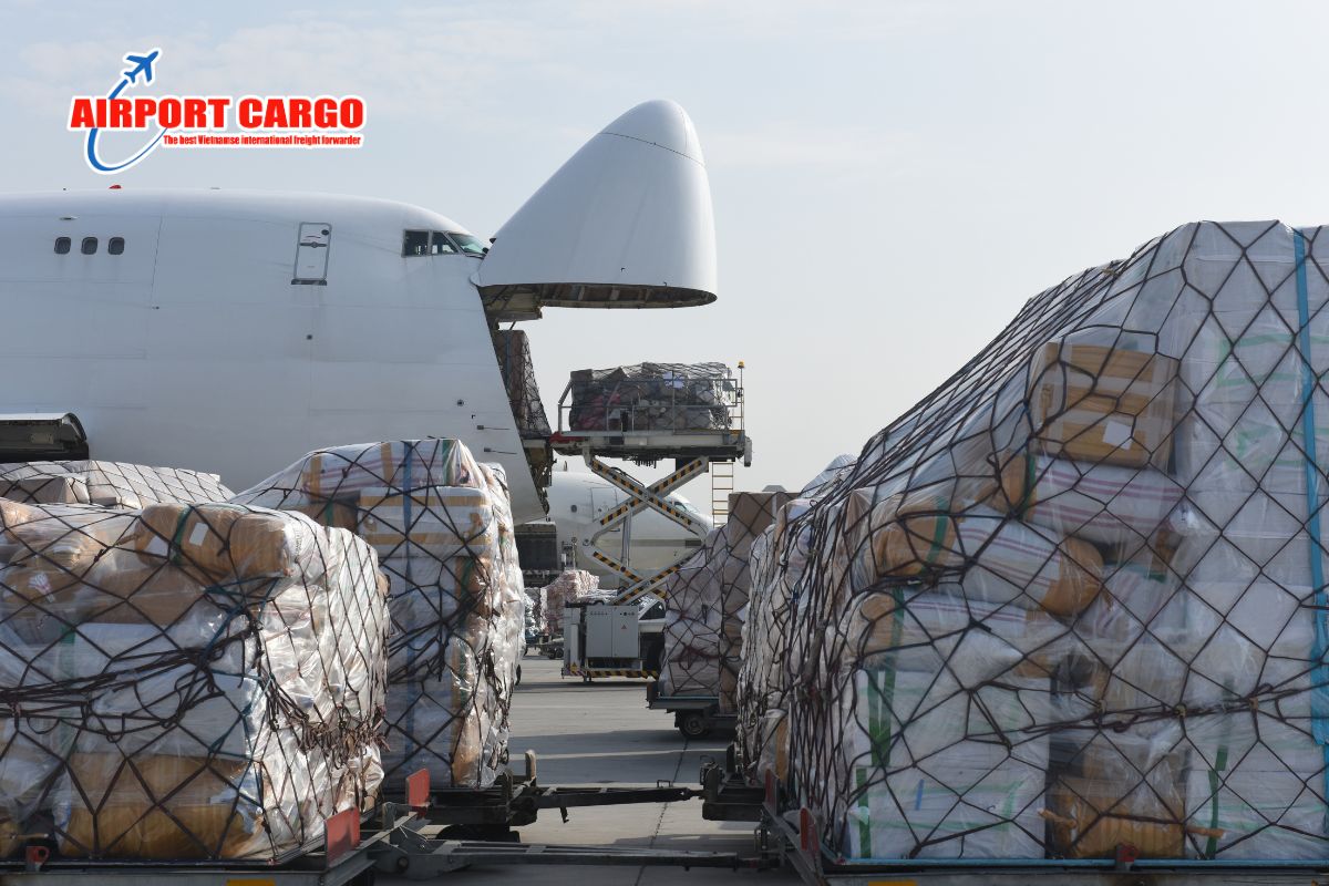 Tại sao hàng hóa phải được chuẩn bị trước giờ máy bay cất cánh rất lâu? Tại sao hàng hóa phải được chuẩn bị trước giờ máy bay cất cánh rất lâu?