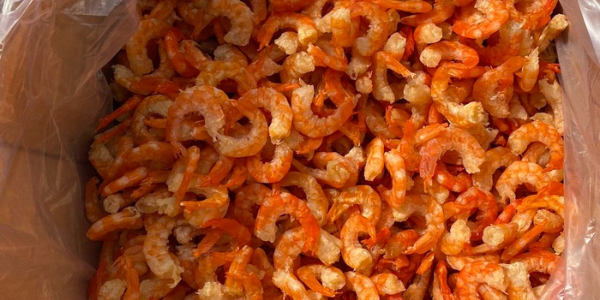 Gửi tôm khô Gửi tôm khô