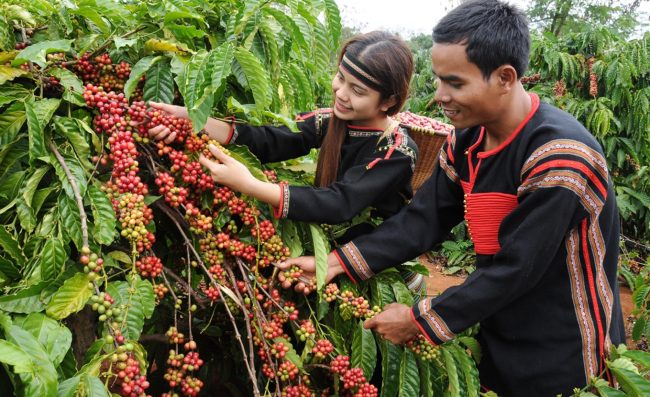 Cà phê Buôn Ma Thuật