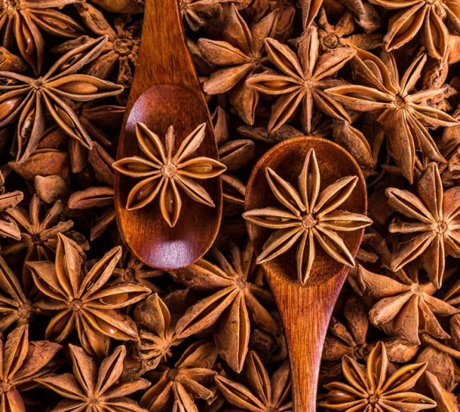 Hoa hồi Lạng Sơn